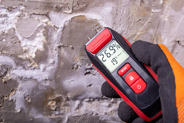 Best Mold Testing  in Baidland, PA