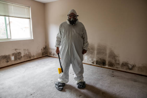 Best Crawl Space Mold Removal  in Baidland, PA